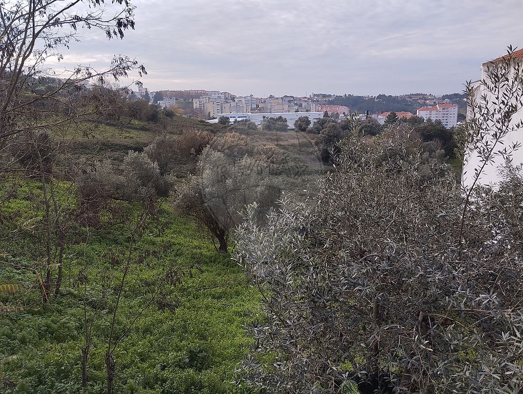 Terreno à venda em Abrantes