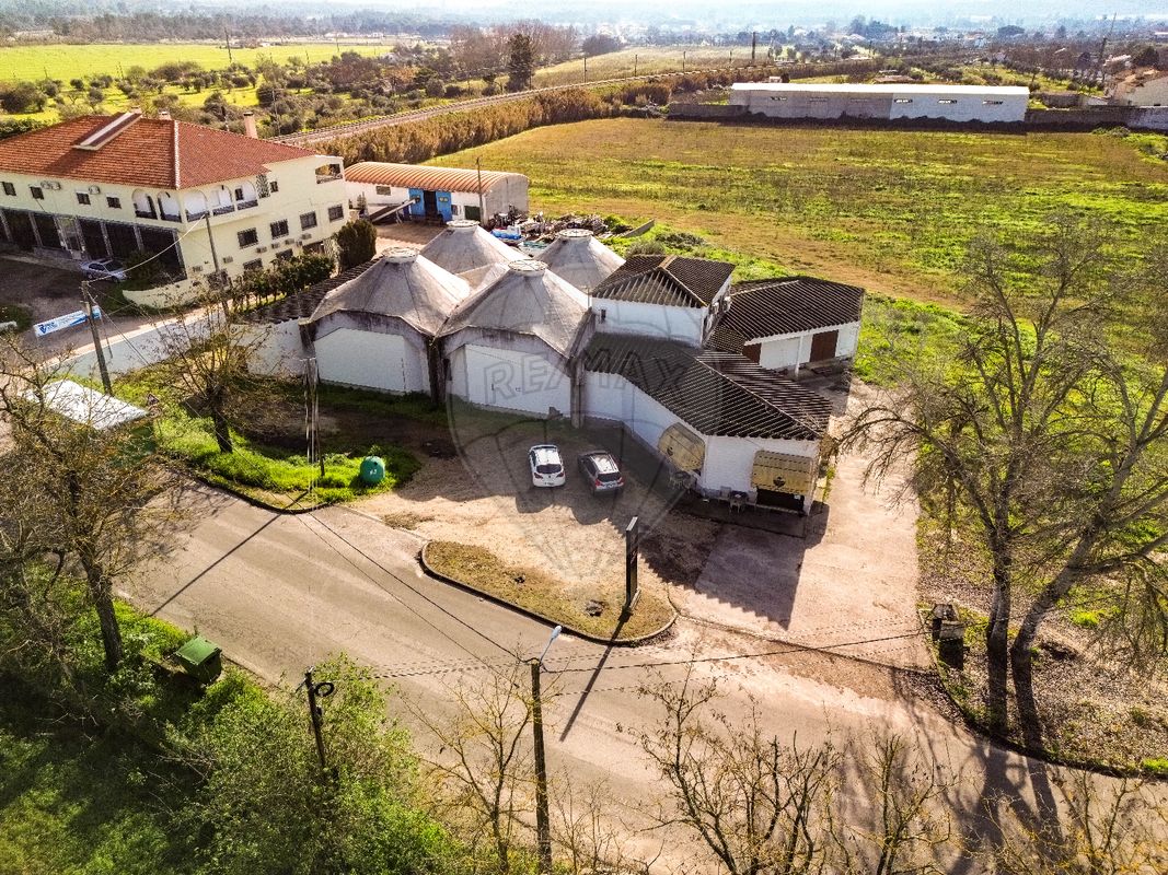 listing 125091016-89 picture-0