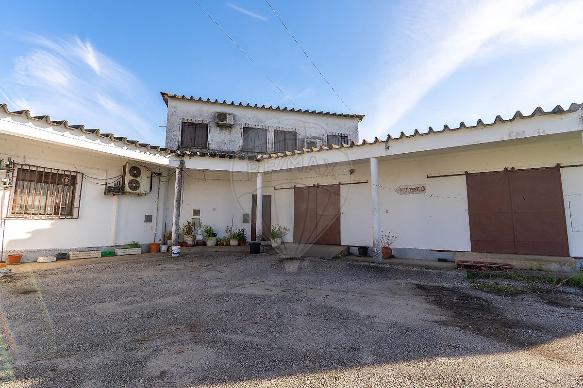 listing-picture-0
