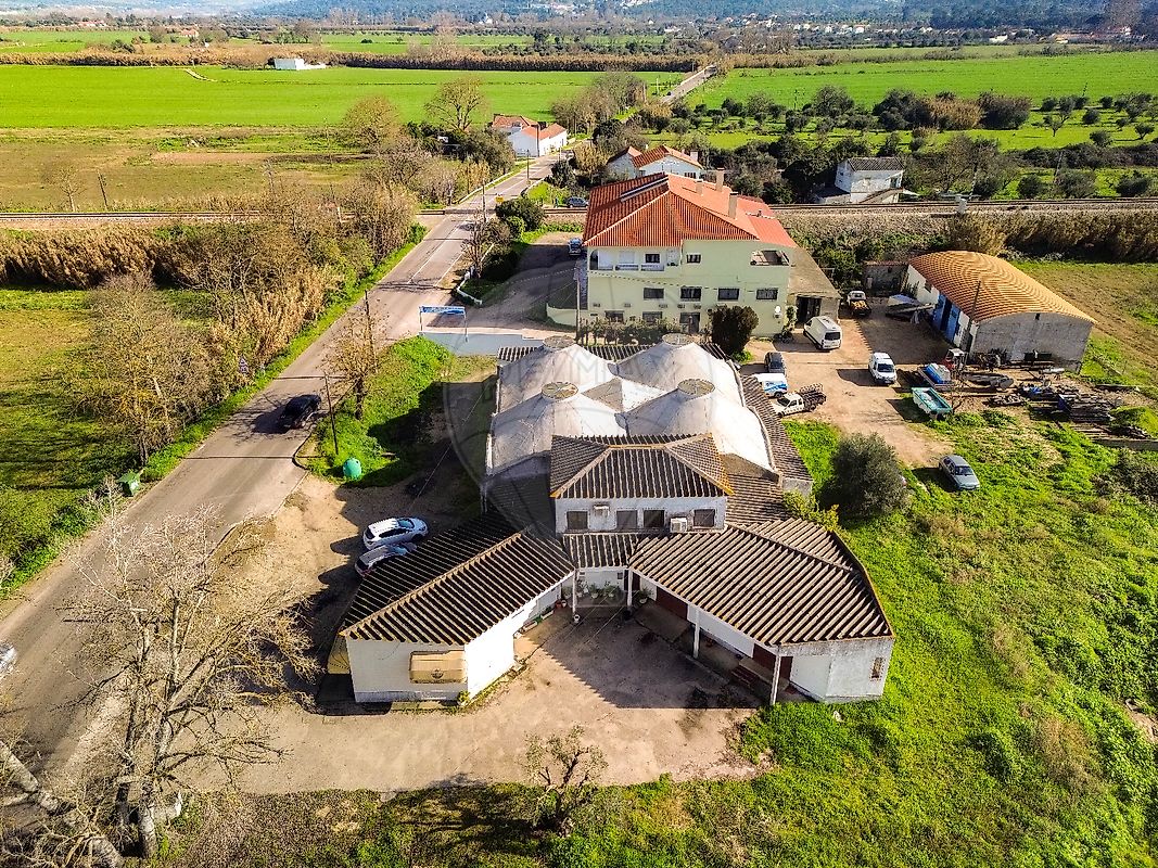 listing-picture-0