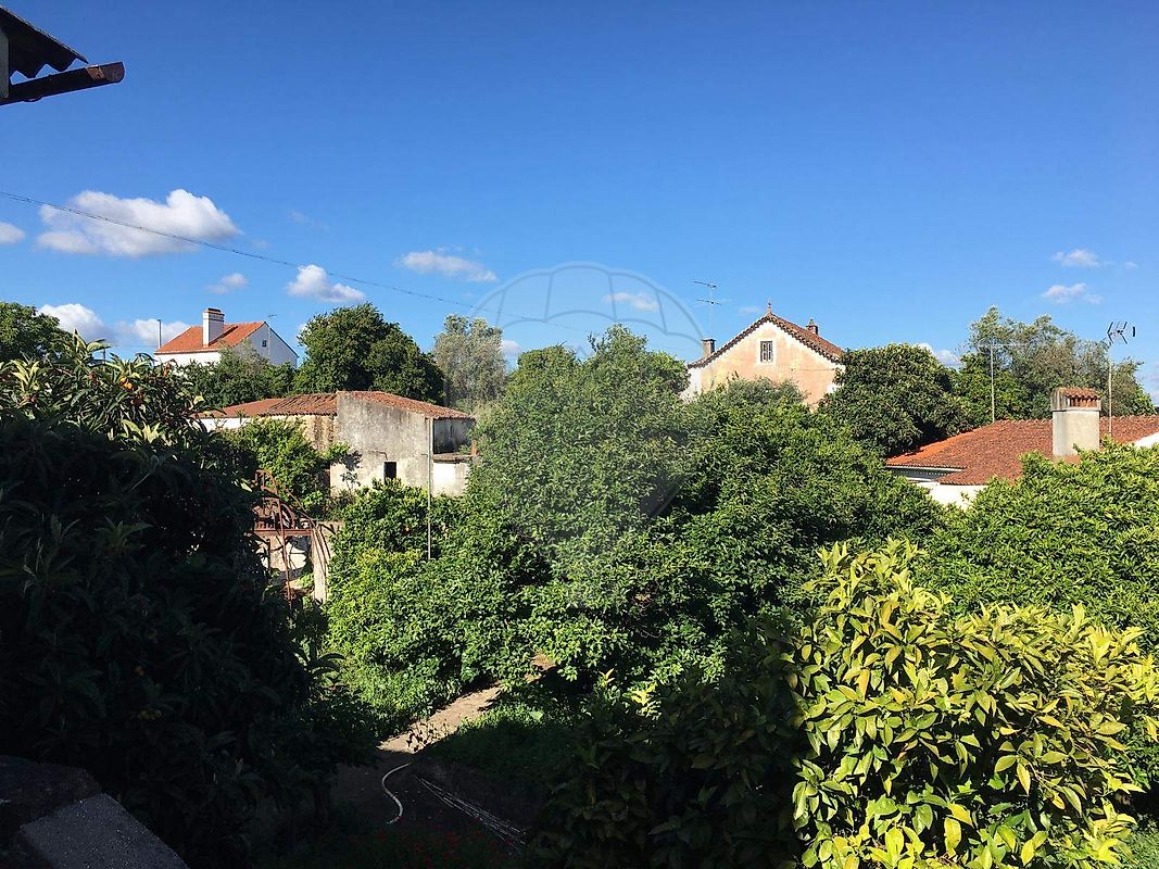 listing 125091037-34 picture-0