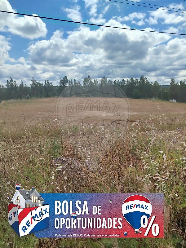 Land for sale in Abrantes, Portugal — €76,000