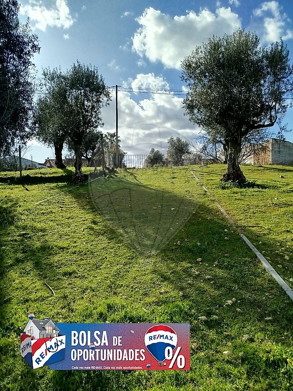 Terreno - Pego, Abrantes, Santarém