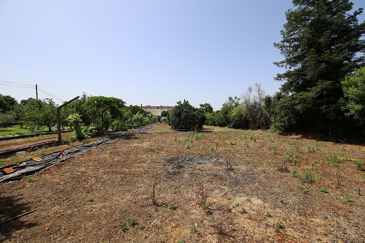 listing 125091010-1067 picture-0