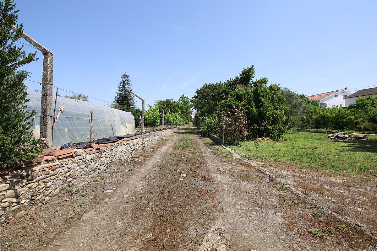 listing 125091010-1067 picture-0