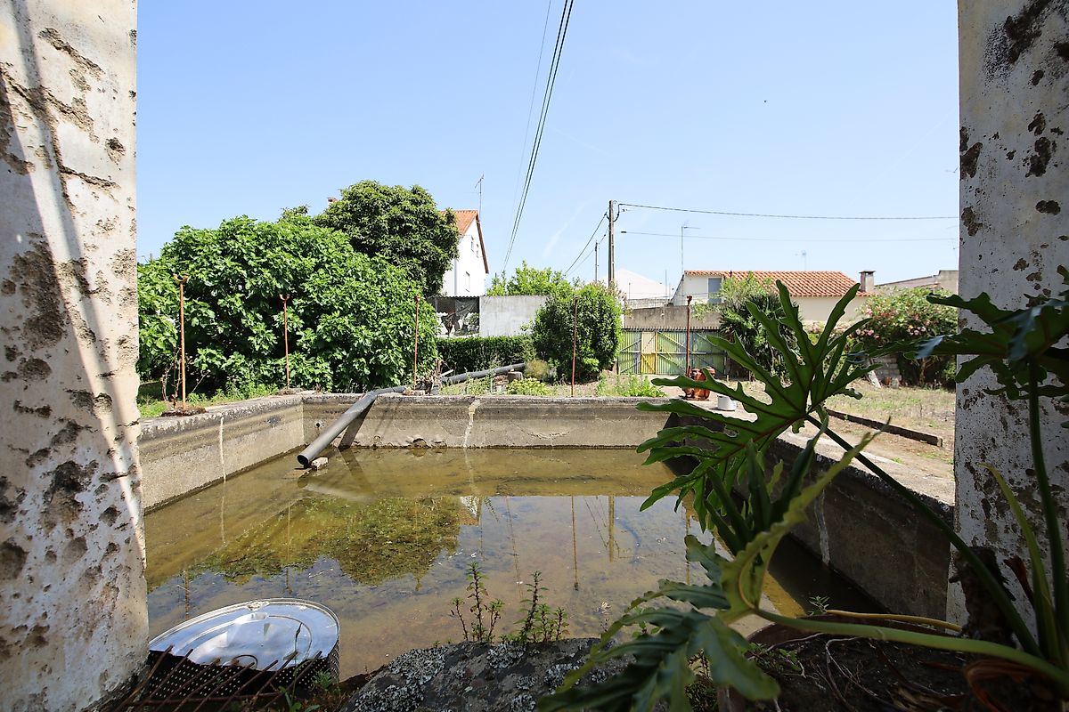 listing 125091010-1067 picture-0