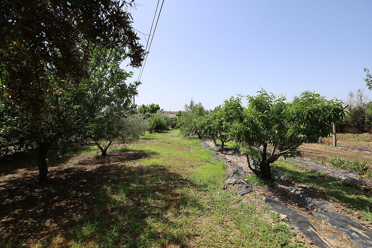 listing 125091010-1067 picture-0