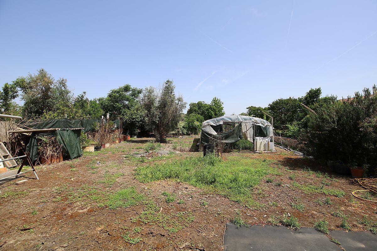 listing 125091010-1067 picture-0