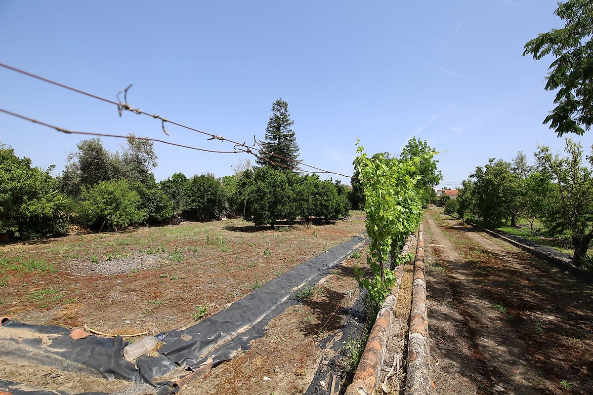 listing 125091010-1067 picture-0