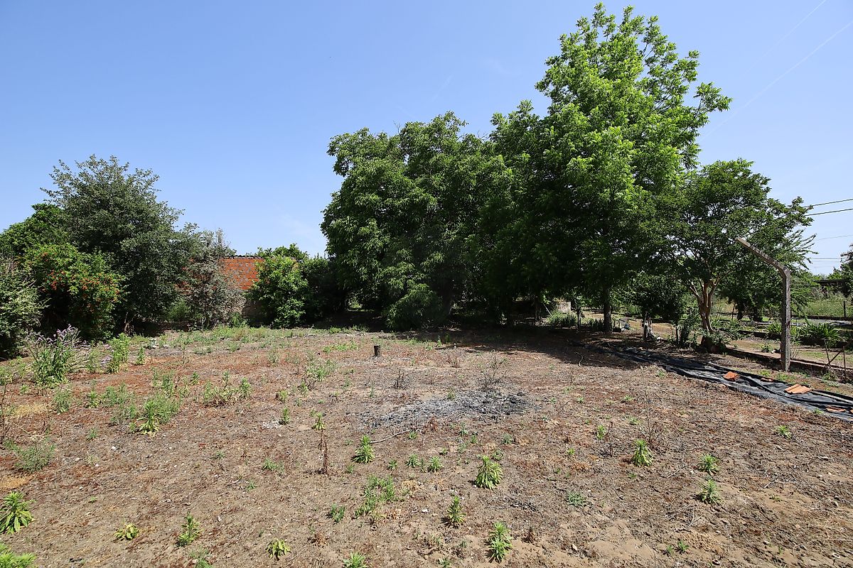 listing 125091010-1067 picture-0