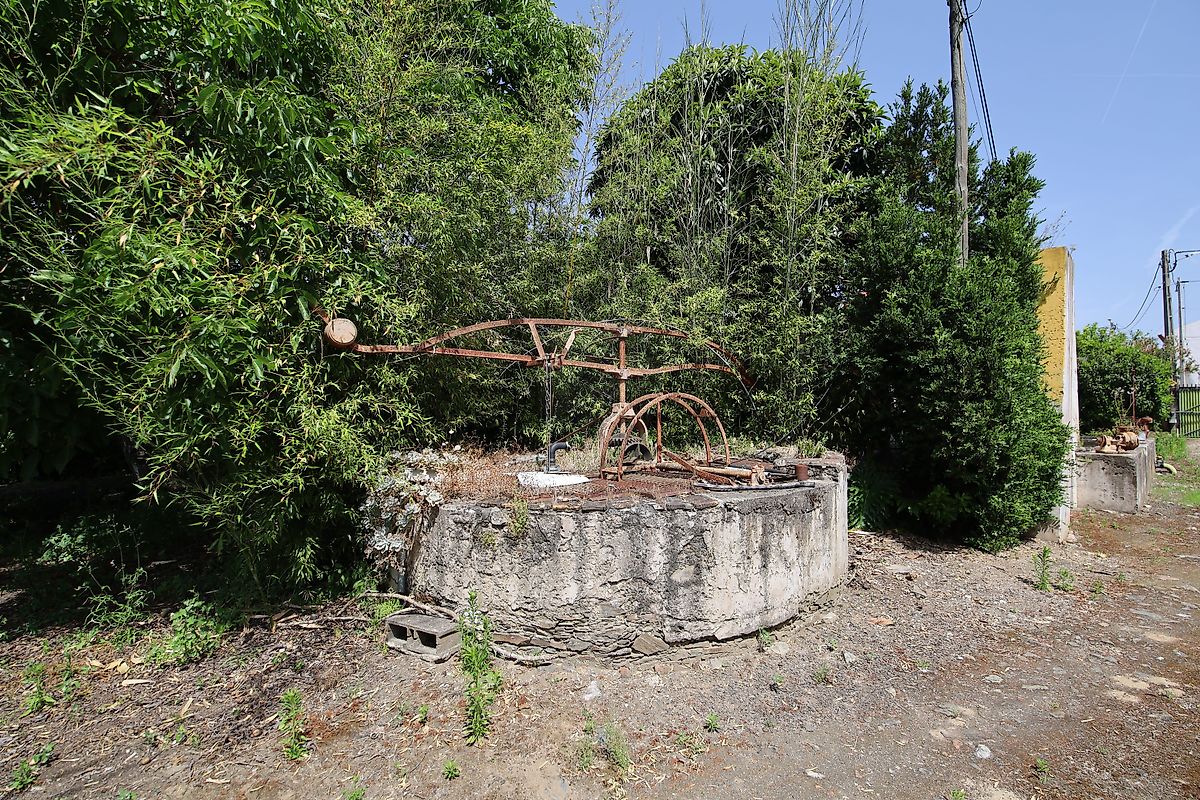 listing 125091010-1067 picture-0