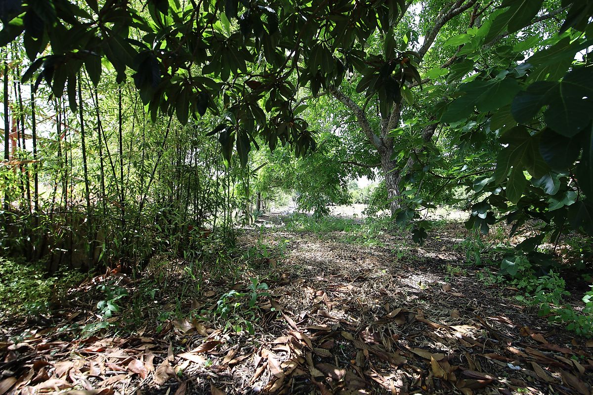 listing 125091010-1067 picture-0