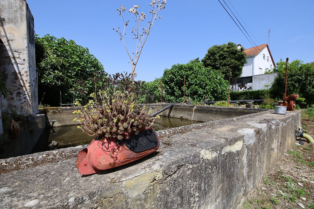 listing 125091010-1067 picture-0