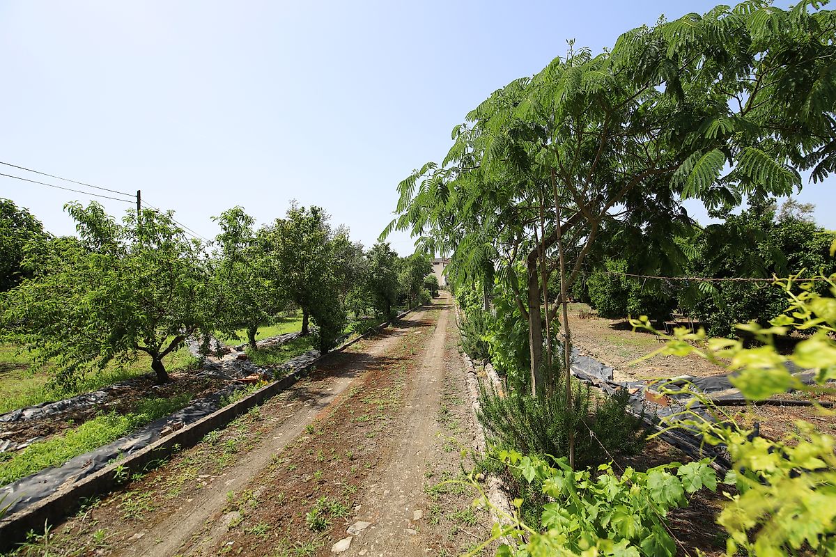 listing 125091010-1067 picture-0