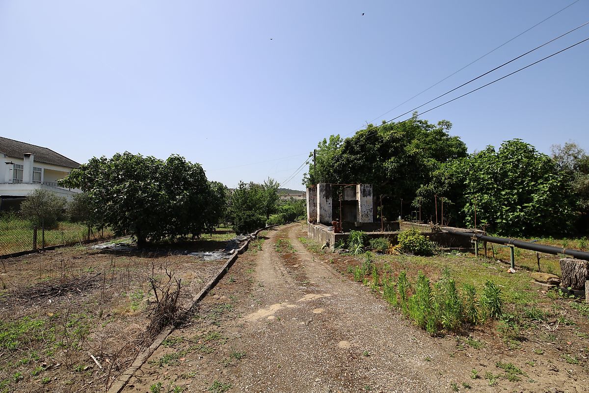 listing 125091010-1067 picture-0