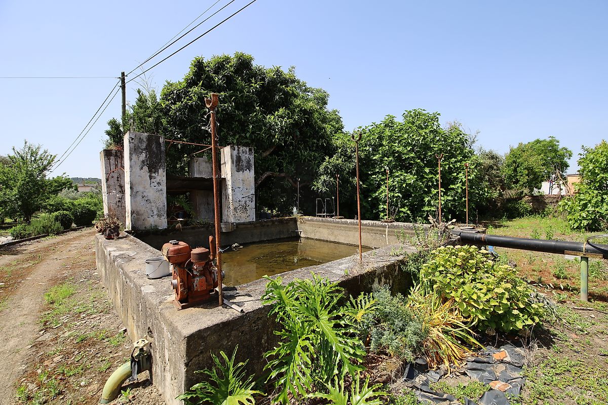 listing 125091010-1067 picture-0