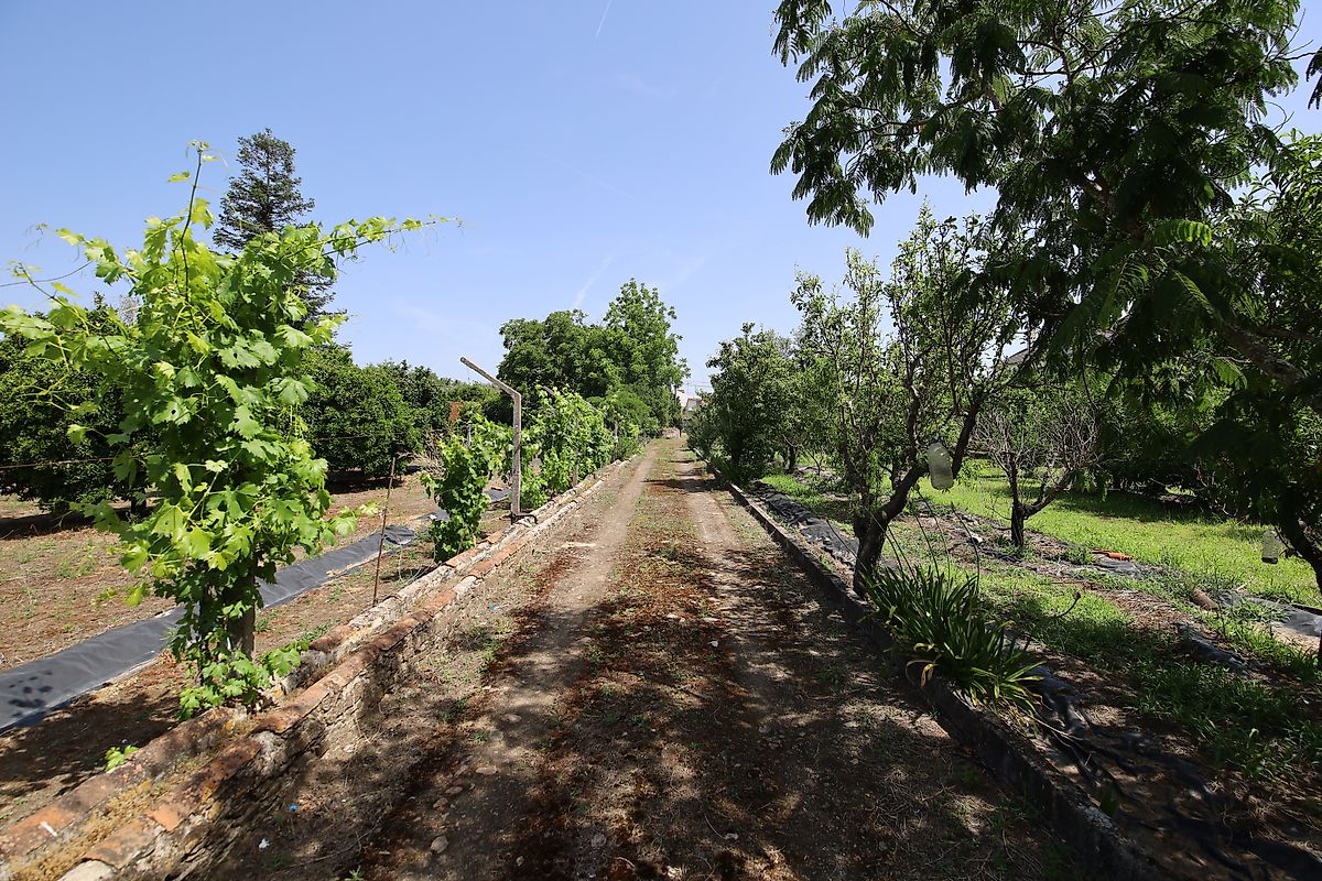 listing 125091010-1067 picture-0