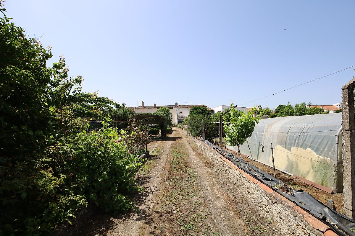 listing 125091010-1067 picture-0