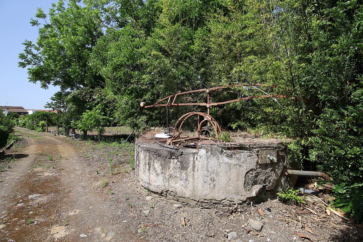 listing 125091010-1067 picture-0