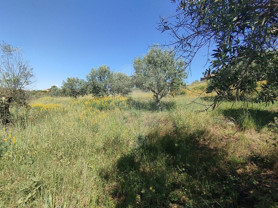 Terreno à venda em Abrantes
