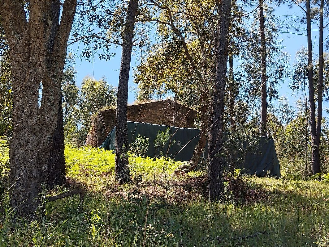 Terreno à venda em Abrantes