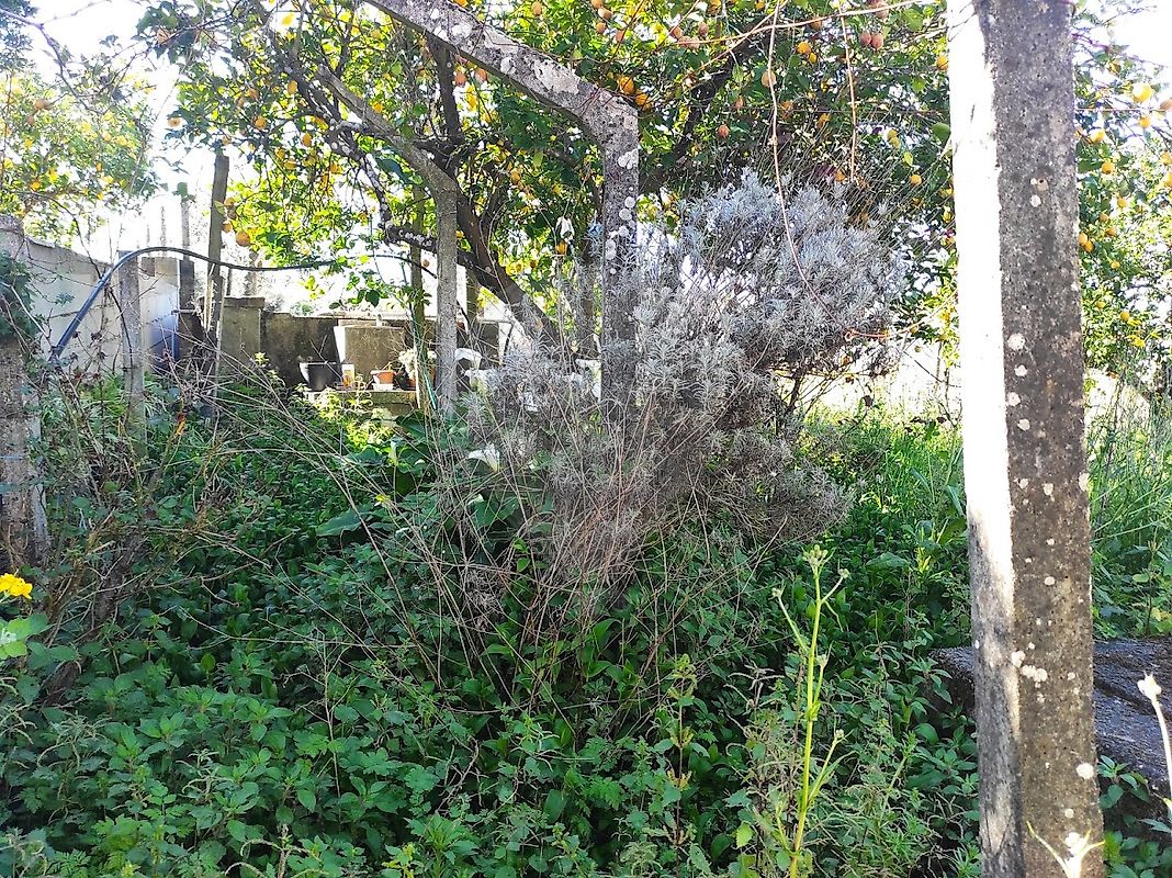 listing 125091016-92 picture-0