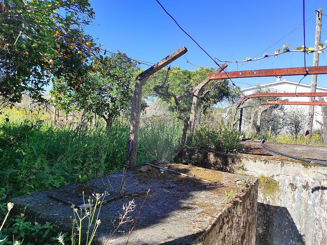 listing 125091016-92 picture-0