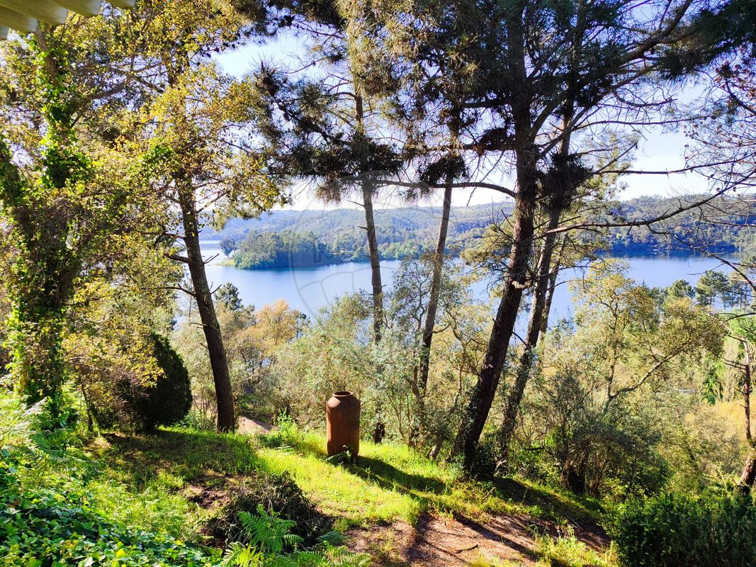 listing 125091031-74 picture-0