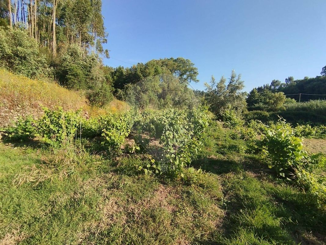 Terreno para venda