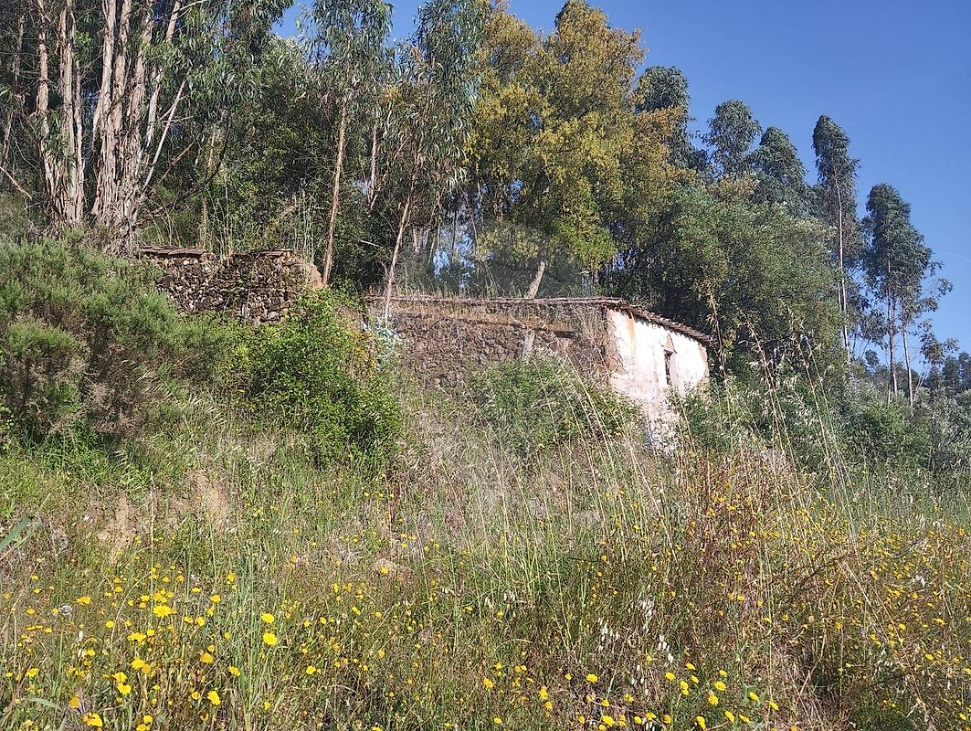 Terreno para venda