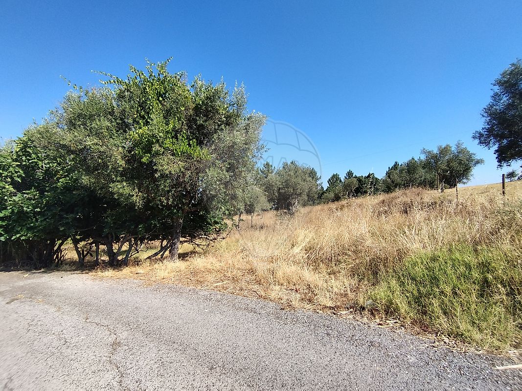 Terreno  para venda