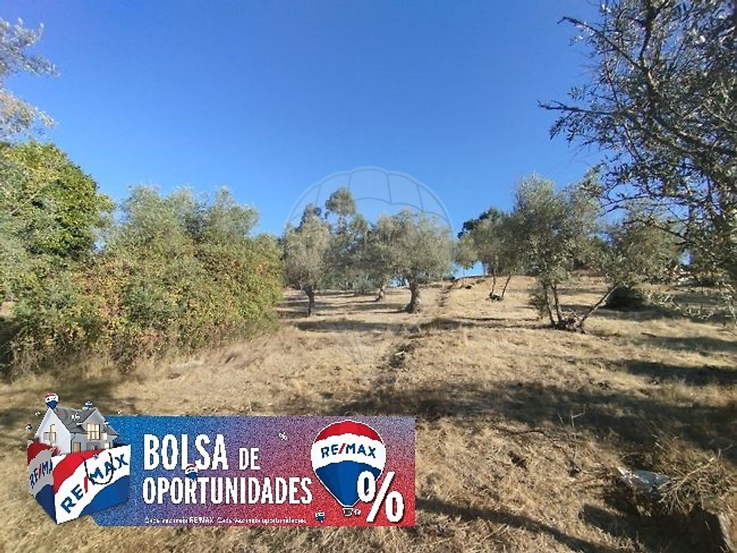 Terreno - Sardoal, Sardoal, Santarém