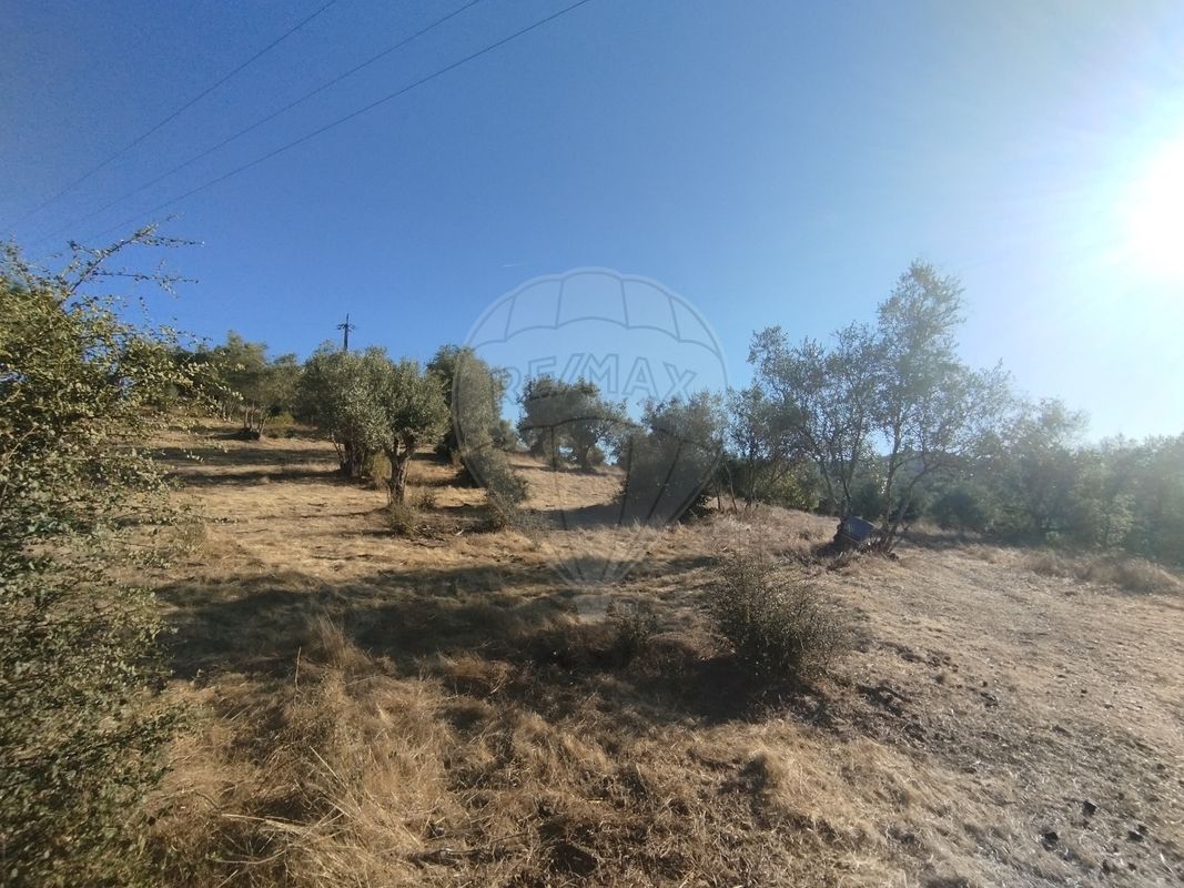 Terreno  para venda