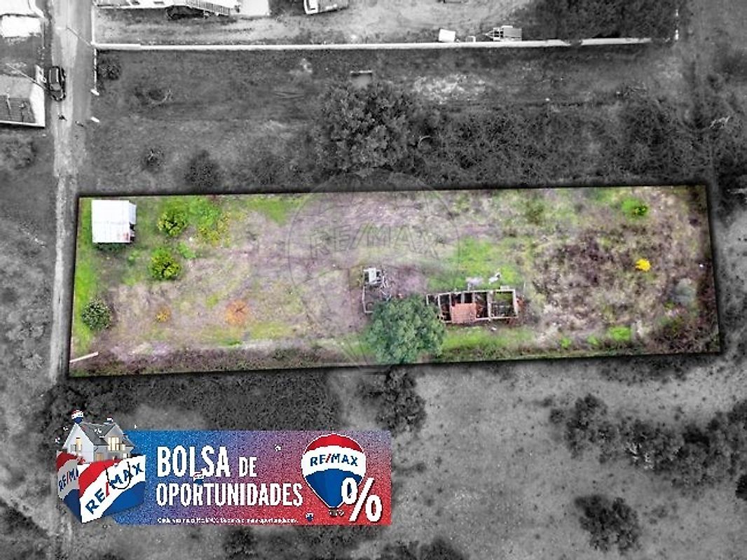 Terreno - Parreira e Chouto, Chamusca, Santarém