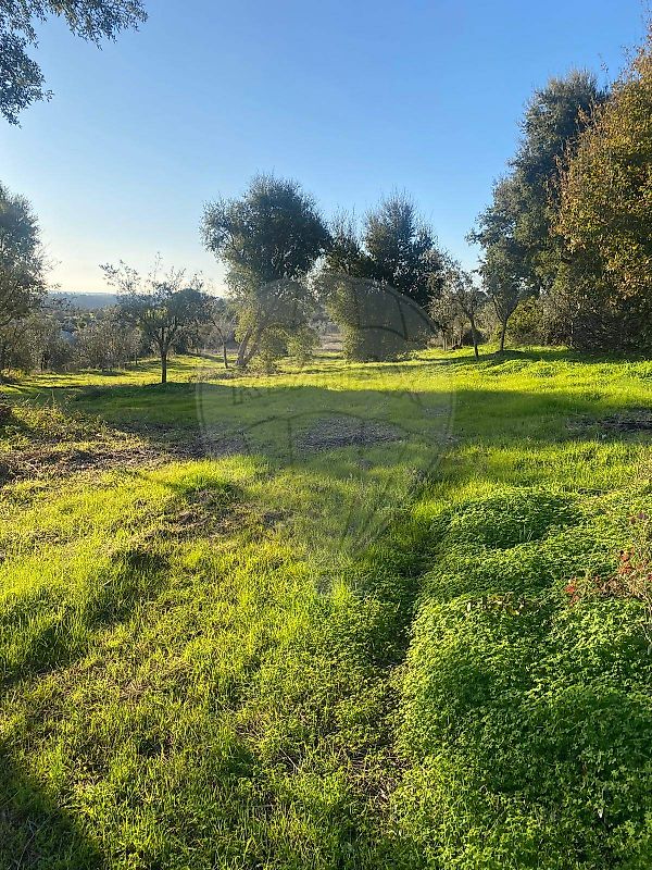 Terreno à venda em Abrantes