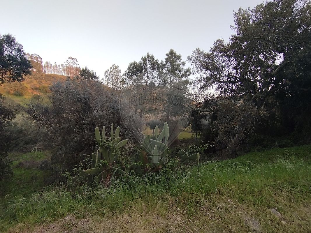 Terreno - Alvega e Concavada, Abrantes, Santarém