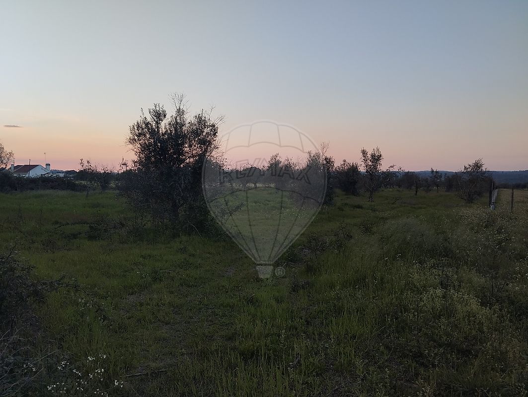 Terreno - Alvega e Concavada, Abrantes, Santarém