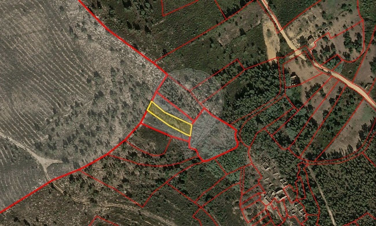 Terreno - Mação, Penhascoso e Aboboreira, Mação, Santarém