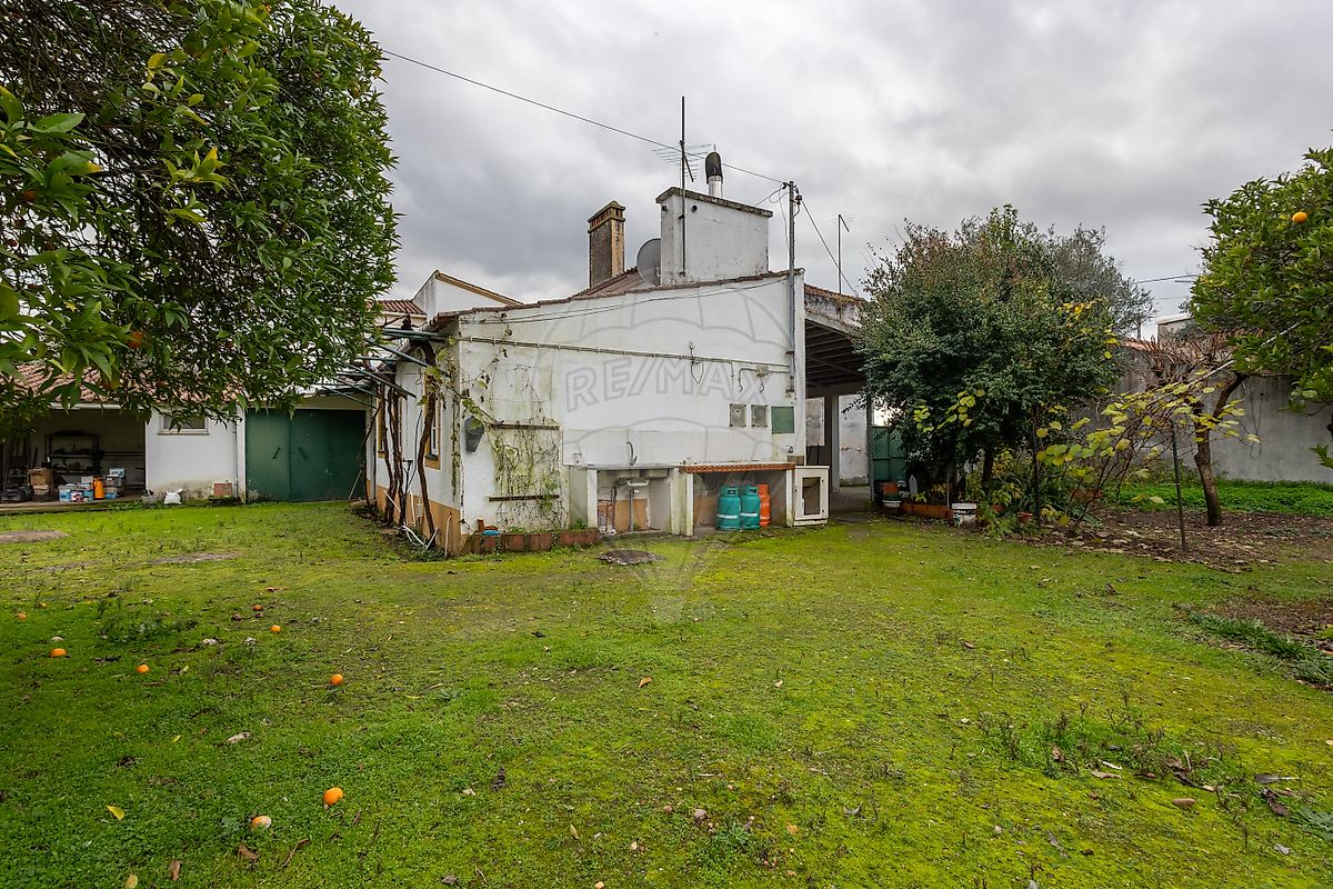 Moradia T4 à venda em Montalvo, Constância — foto 21