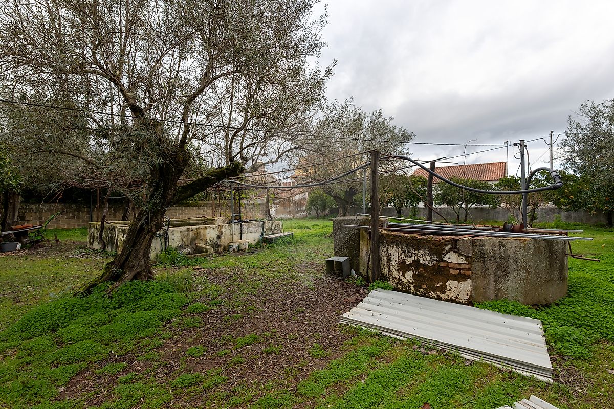 Moradia T4 à venda em Montalvo, Constância — foto 30