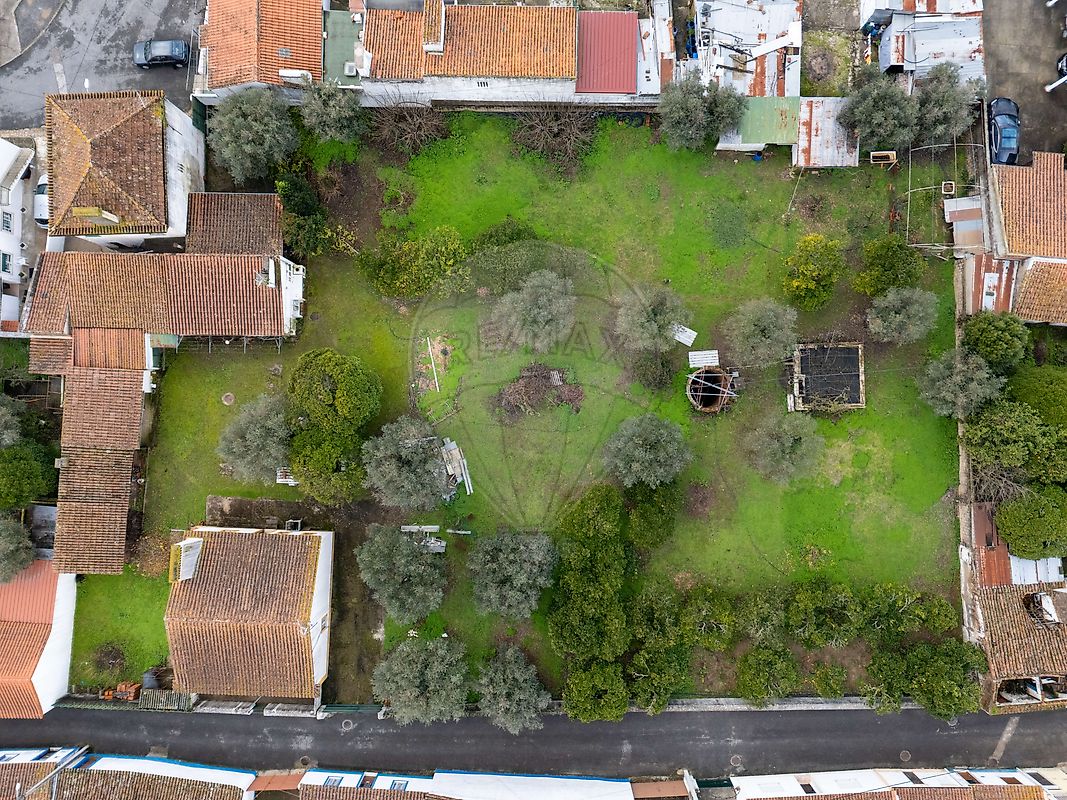 Moradia T4 à venda em Montalvo, Constância — foto 37
