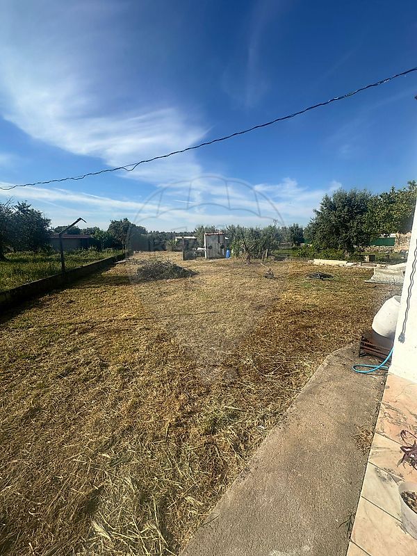 Moradia T3 à venda em Aldeia da Mata, Crato — foto 8