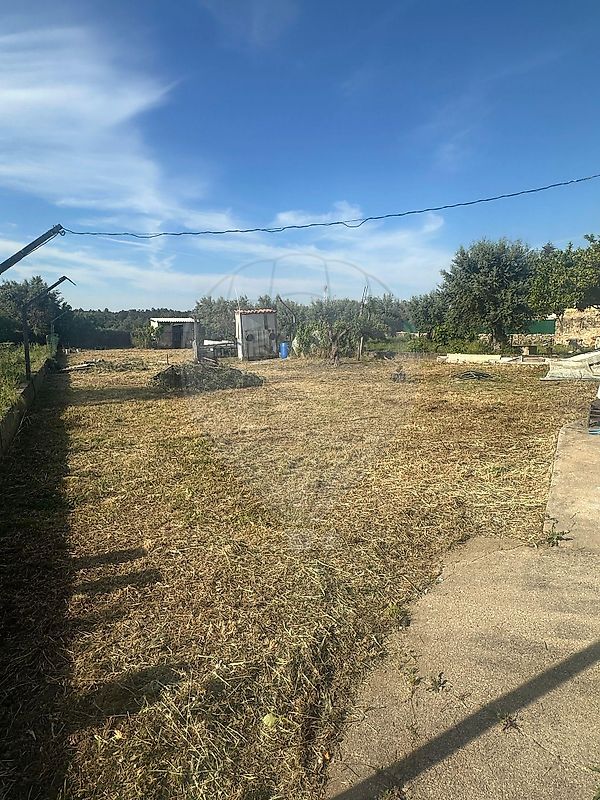 Moradia T3 à venda em Aldeia da Mata, Crato — foto 9