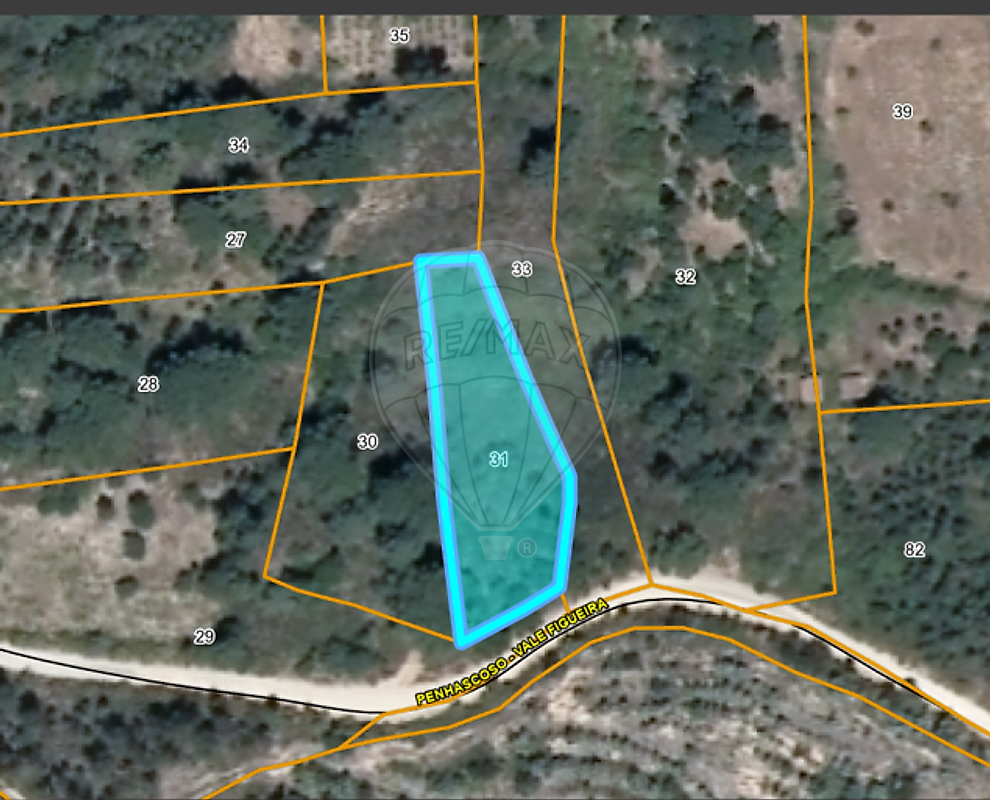 Terreno - Mação, Penhascoso e Aboboreira, Mação, Santarém