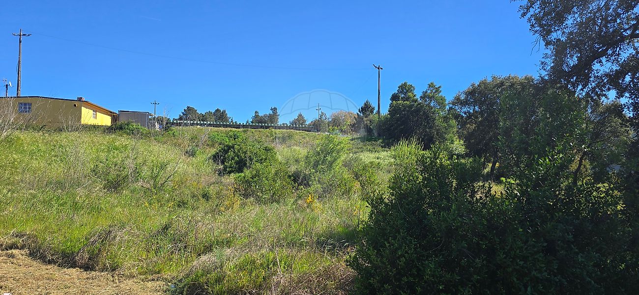 Terreno - Pego, Abrantes, Santarém