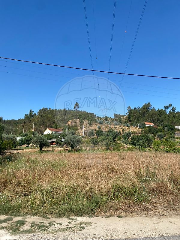 Terreno - Rio de Moinhos, Abrantes, Santarém