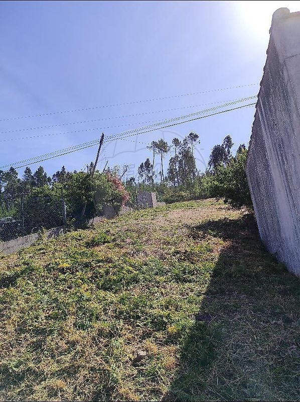 Terreno - Cardigos, Mação, Santarém