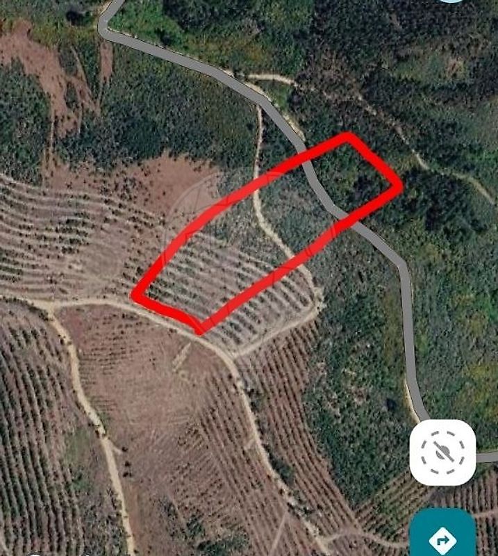 Terreno - Mação, Penhascoso e Aboboreira, Mação, Santarém