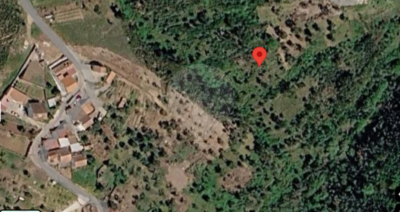 Terreno - Vila de Rei, Vila de Rei, Castelo Branco