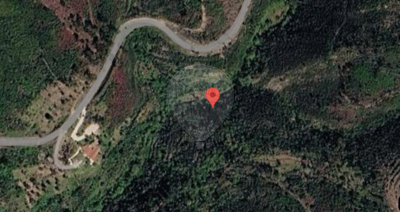 Terreno - Vila de Rei, Vila de Rei, Castelo Branco